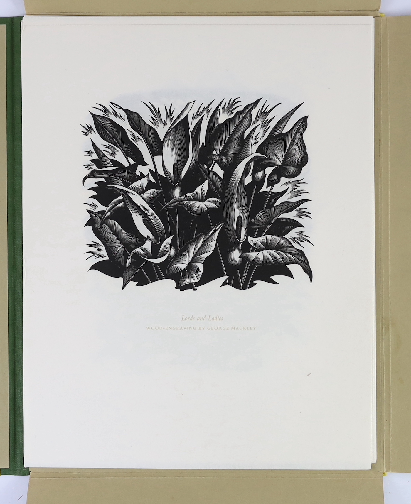 Colt, Armida Maria-Theresa - Weeds and Wildflowers: some irreverent words. With wood engravings by George Mackley. Limited Edition (of 250 numbered copies, signed by the artist). decorated title, frontis. and 10 other il